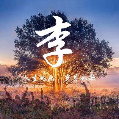 第26届上海国际电影节揭晓金爵奖：黄晓明获最佳男演员奖